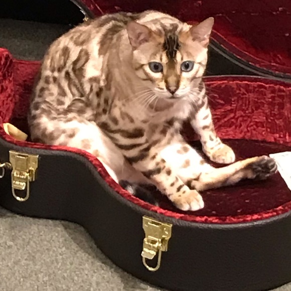 Meet your doom, the ghost of King Magnus. - Picture 3 of 3